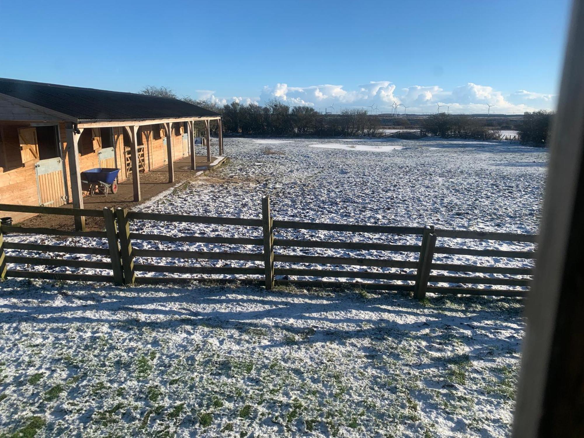 Owls Nest Log Cabin Morpeth Exterior foto